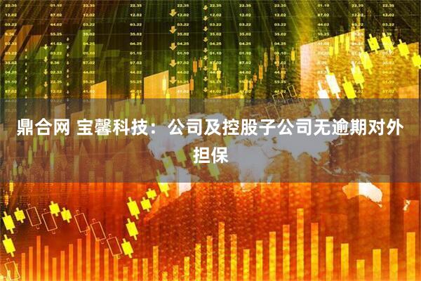 鼎合网 宝馨科技：公司及控股子公司无逾期对外担保