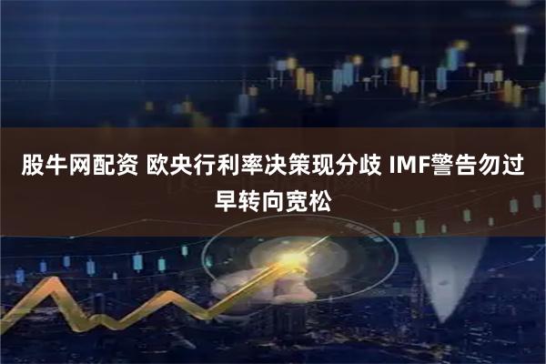 股牛网配资 欧央行利率决策现分歧 IMF警告勿过早转向宽松