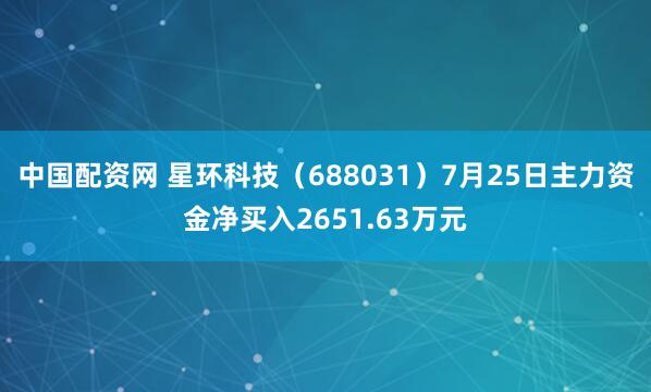 中国配资网 星环科技（688031）7月25日主力资金净买入2651.63万元
