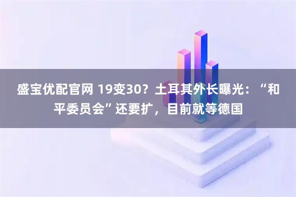 盛宝优配官网 19变30？土耳其外长曝光：“和平委员会”还要扩，目前就等德国