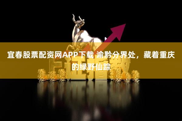 宜春股票配资网APP下载 渝黔分界处，藏着重庆的绿野仙踪